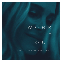Work It Out (Vintage Culture Late Night Remix) (Single)