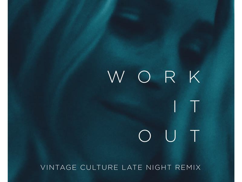 Work It Out (Vintage Culture Late Night Remix) (Single)