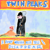 I Don't Wanna Miss You / Disappear (Single)