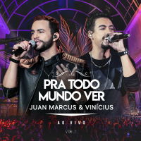 Pra Todo Mundo Ver (Ao Vivo Em São José Do Rio Preto / 2019 / Vol. 1) (Single)