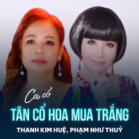 Tân Cổ Hoa Mua Trắng (Single)