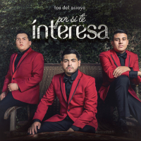 Por Si Te Interesa (Single)