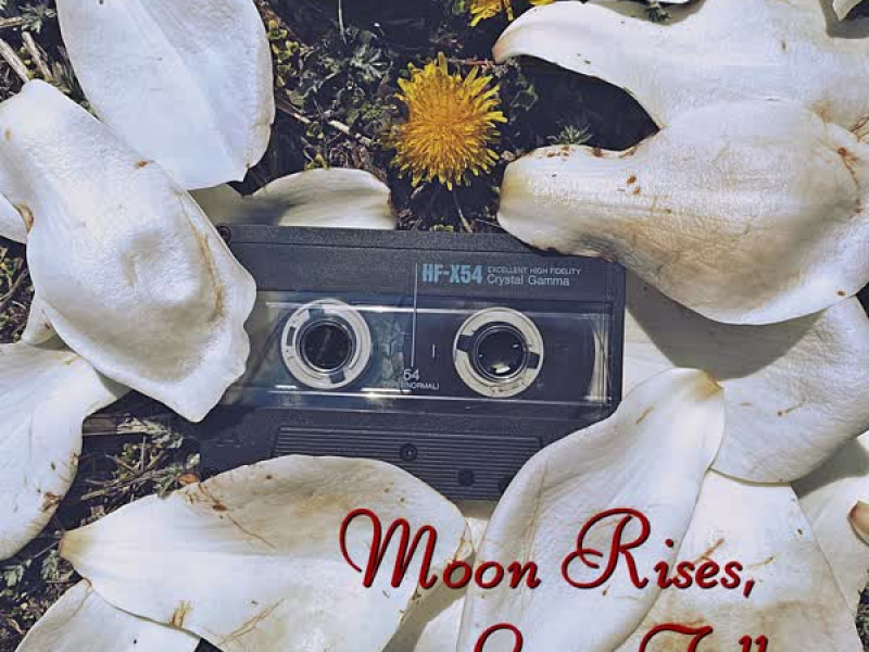 Moon Rises, Love Falls. (Single)