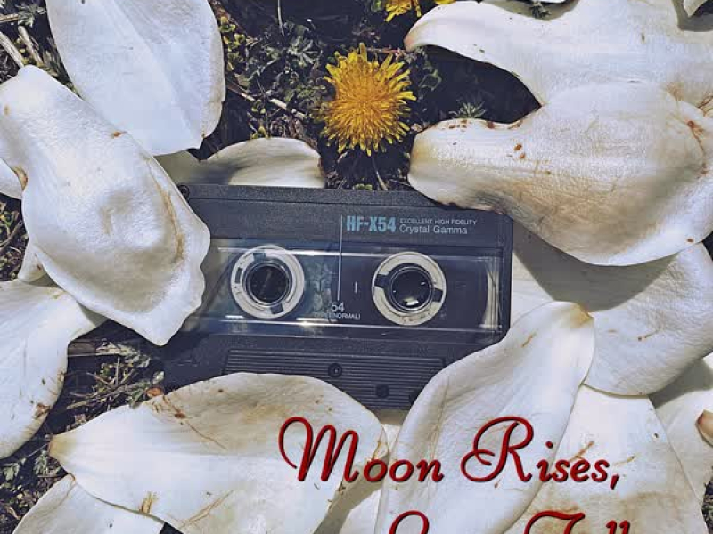 Moon Rises, Love Falls. (Single)