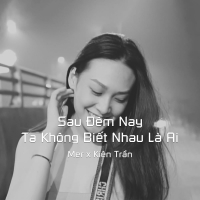 Sau Đêm Nay Ta Không Biết Nhau Là Ai Beat (Single)