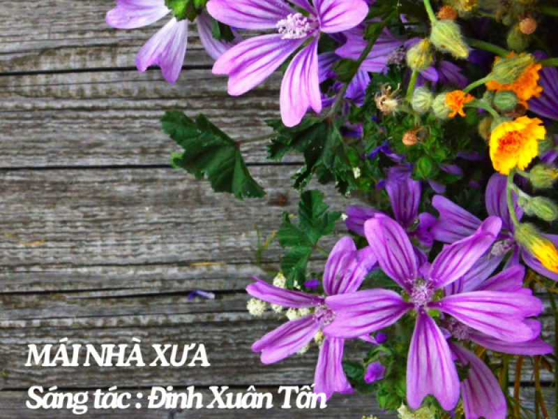 Mái Nhà Xưa (Single)