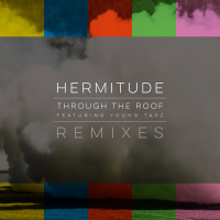 Through the Roof (Remixes) (EP)