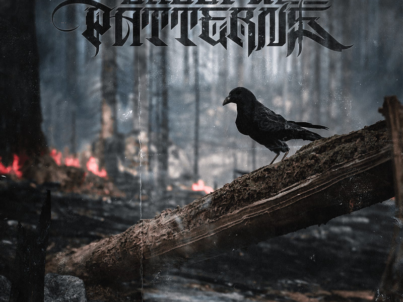 Blissful Patterns (Single)