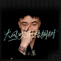 大风吹倒梧桐树 (Single)