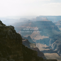 Wild World (Single)