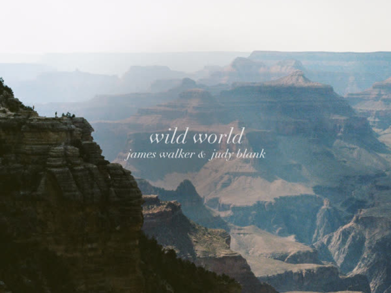 Wild World (Single)