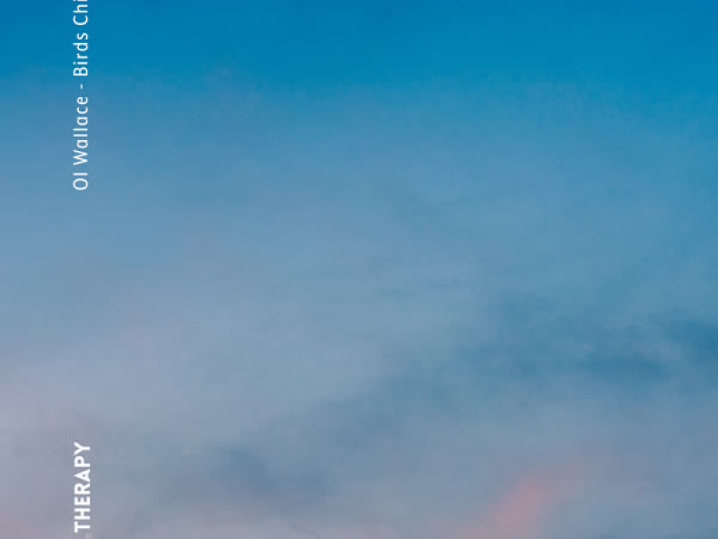 Birds Chirping (Single)