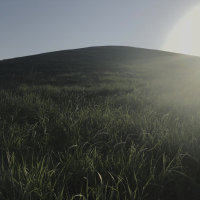 a low-lying wind moon (Single)