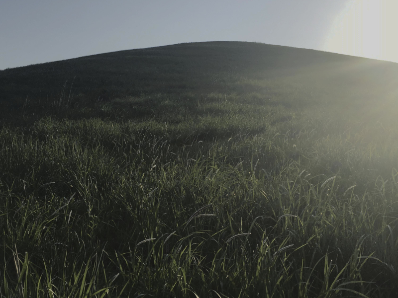 a low-lying wind moon (Single)