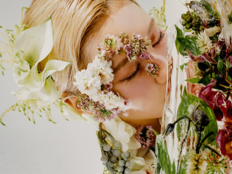 every flower you gave me