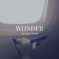 Wonder (Single)