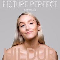 Picture Perfect (Acoustic) (Single)