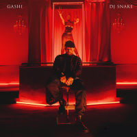 Safety (feat. DJ Snake) (Single)