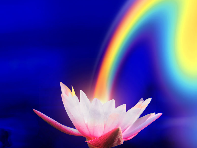 Self Care (The Knocks Remix) (Single)