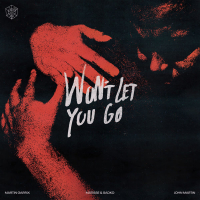Won’t Let You Go (Single)