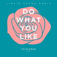 Do What You Like (Liquid Cosmo Remix) [Radio Edit] (Single)
