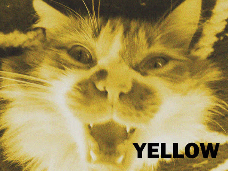Yellow (Single)