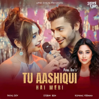 Tu Aashiqui Hai Meri (Single)