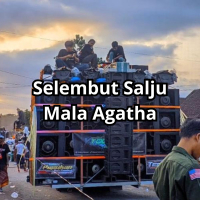 Selembut Salju (Remix) (Single)