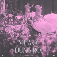 Mưa Ơi Đừng Rơi (Meomeo Version) (Single)
