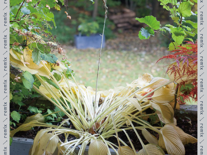 Help (Sunset Rollercoaster Remake) (Single)