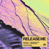 Release Me (FR3ADY Remix) (Single)