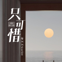 只可惜 (Live合唱版) (Single)