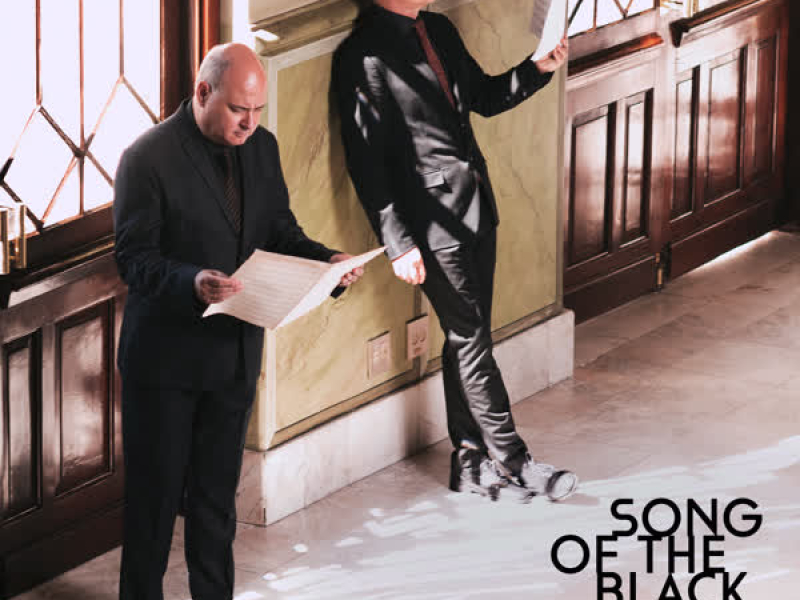 Song of the Black Swan