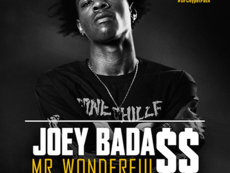 Mr. Wonderful (Single)