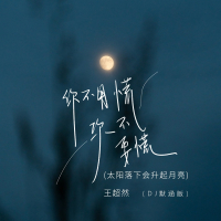 你不要慌你不用慌(太阳落下会升起月亮) (DJ默涵版) (Single)