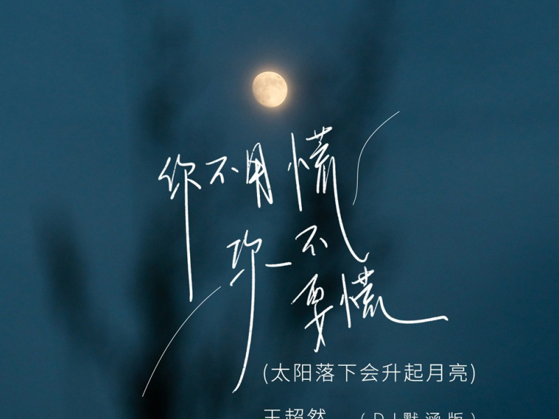你不要慌你不用慌(太阳落下会升起月亮) (DJ默涵版) (Single)