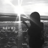 我爱你 傻瓜 (Single)