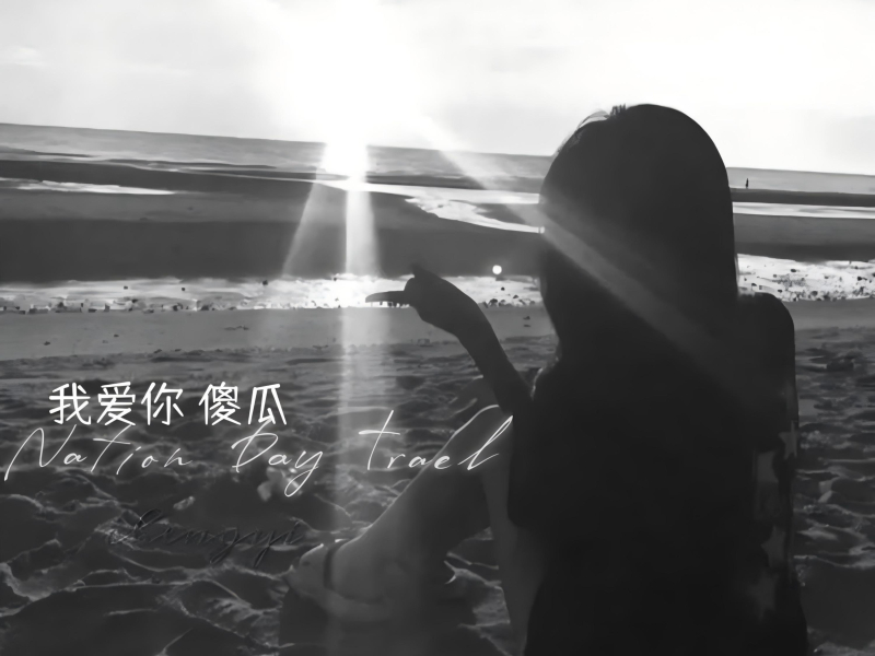 我爱你 傻瓜 (Single)