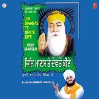 Jin Maanas Te Devte Kiye Vol-45 (Single)