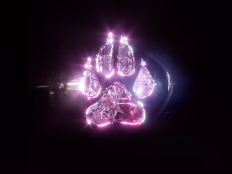 Kept Me In The Dark (Single)