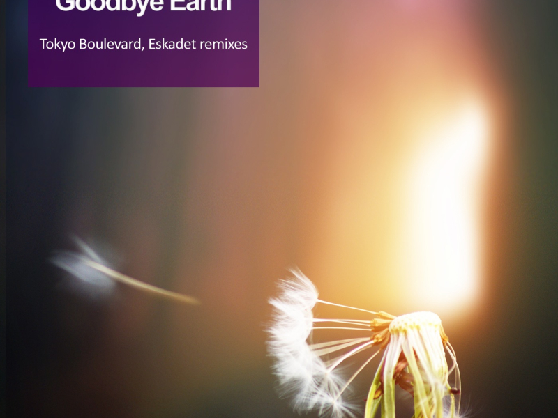 Goodbye Earth