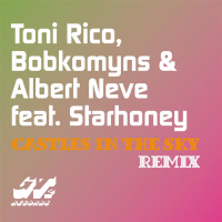 Castles in the Sky (Remix) (Single)