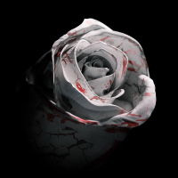 Romantic Homicide (Single)