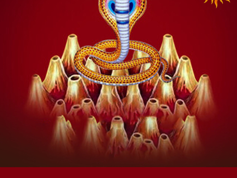 Digu Digu Naganna (Single)