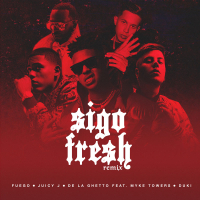 Sigo Fresh (Remix) (Single)