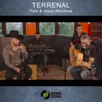 Terrenal (Single)