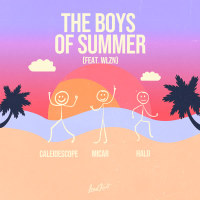 The Boys of Summer (Single)
