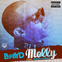 Molly (feat. Waka Flocka)