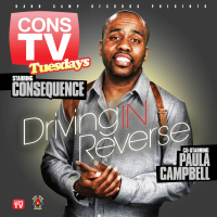 Driving In Reverse (feat. Paula  Campbell) (Single)