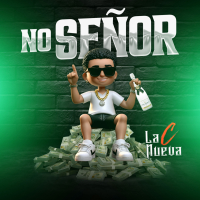 No Señor (Single)